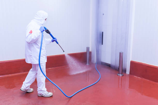 Best Driveway Pressure Washing  in Yorklyn, PA